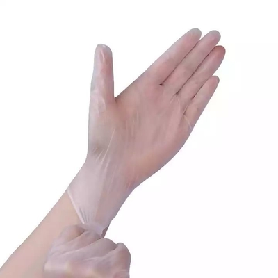 Free PVC Food Grade Material for B2B Disposable Gloves