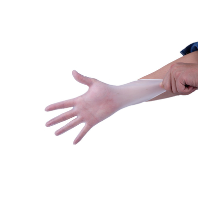 Transparent Disposable Vinyl Gloves Bulk in Box/Bag/Carton Packaging