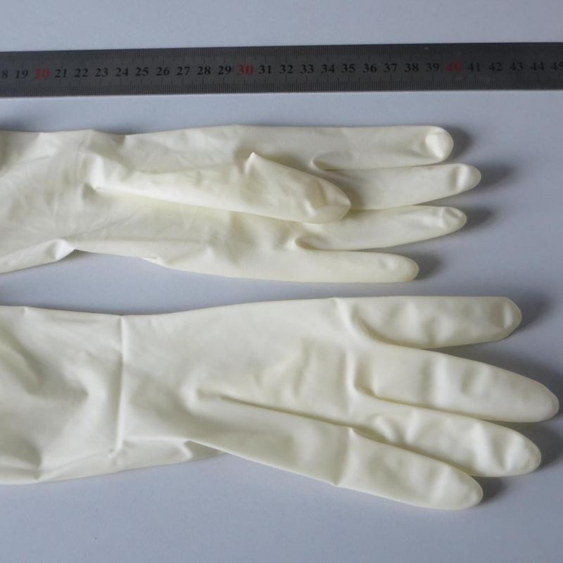 Examination Disposable latex rubber gloves Powdered and Powder Free in Malaysia